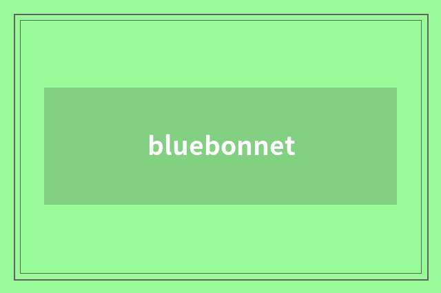bluebonnet