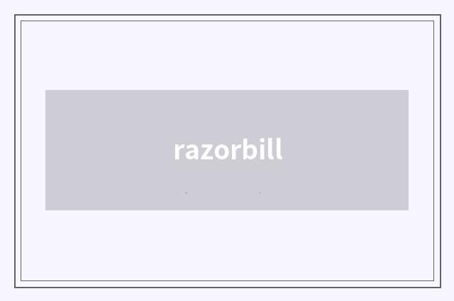 razorbill