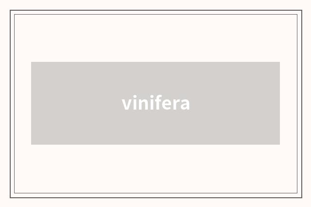 vinifera