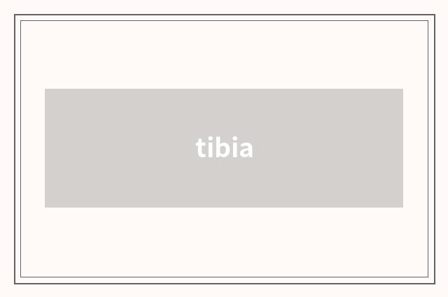 tibia