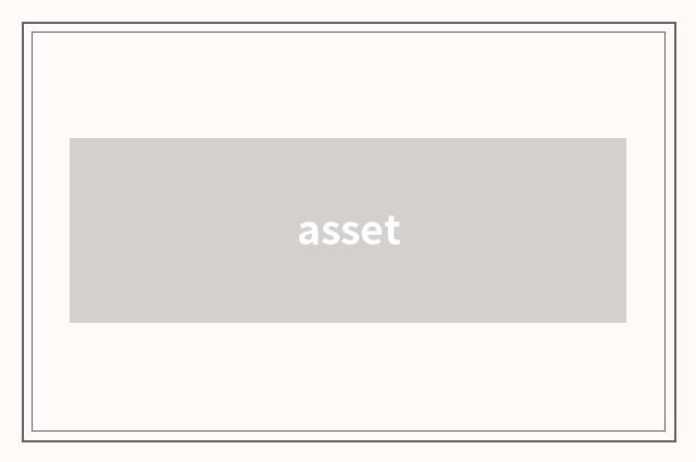asset