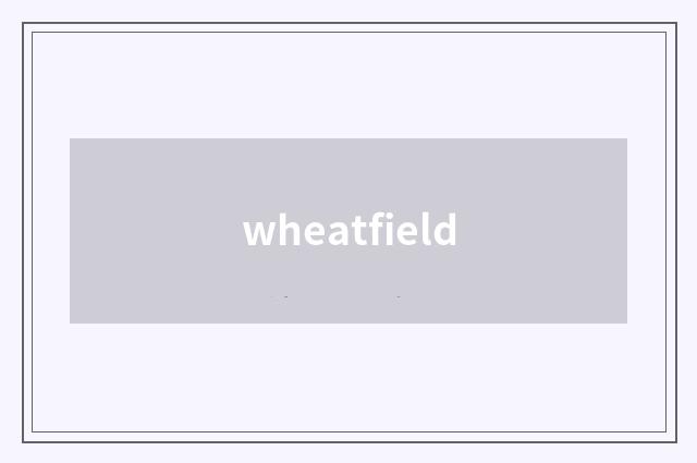 wheatfield