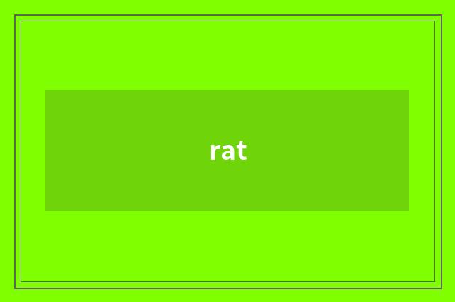 rat