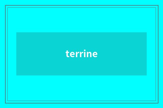 terrine