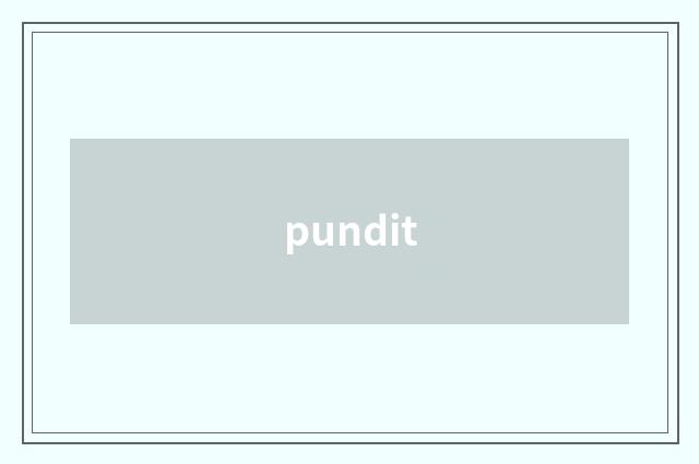pundit