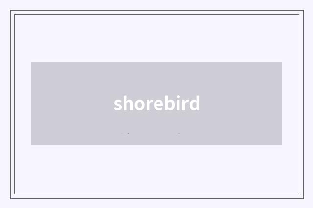 shorebird
