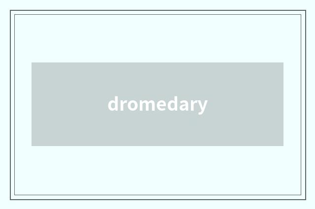 dromedary