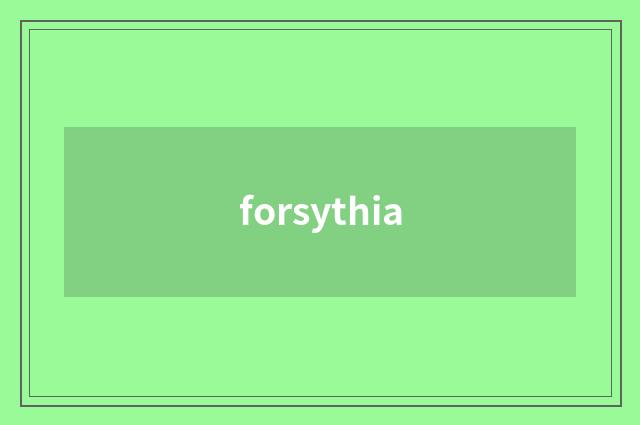 forsythia