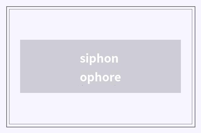 siphonophore
