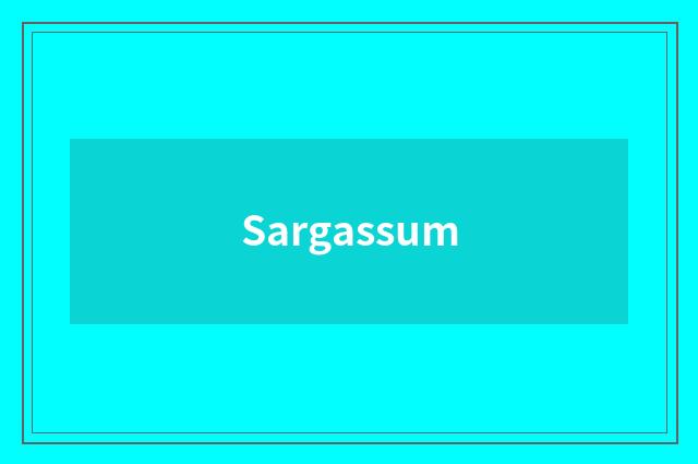 Sargassum