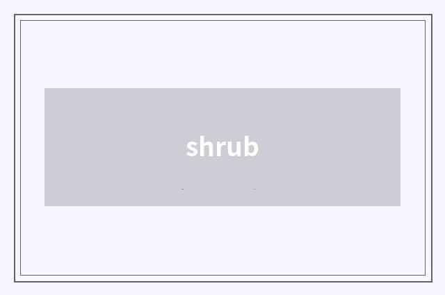 shrub