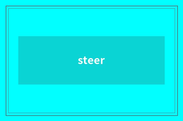 steer