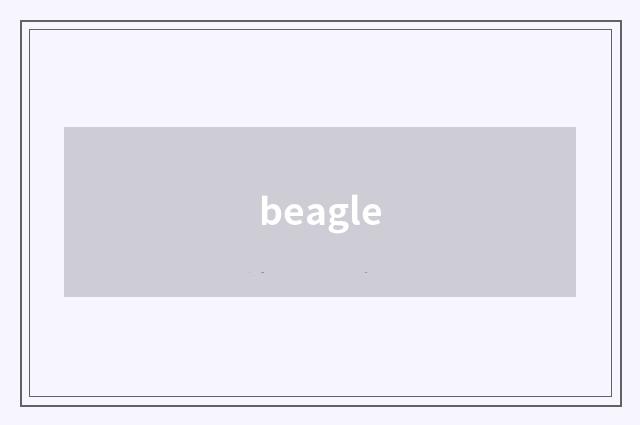 beagle