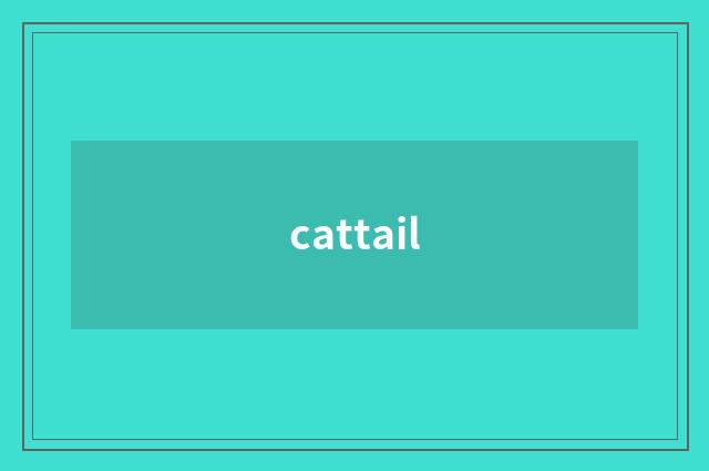 cattail