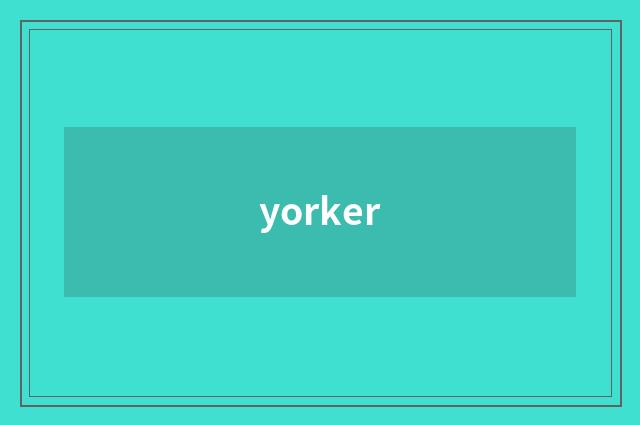 yorker