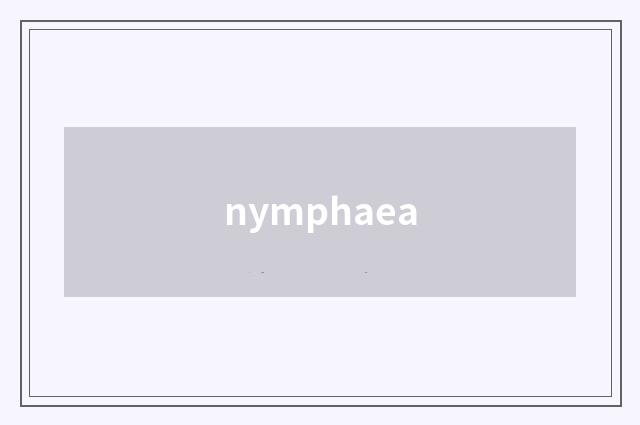 nymphaea