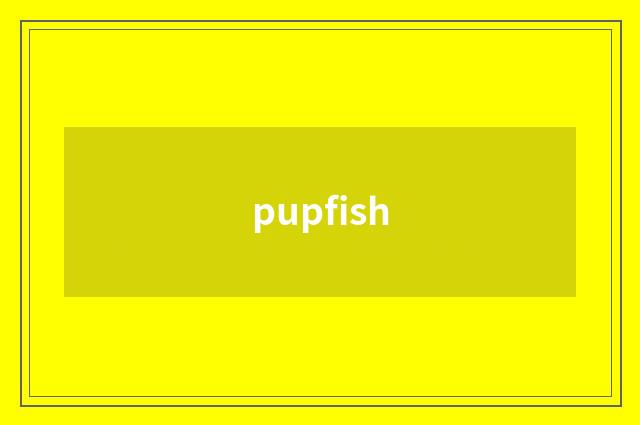 pupfish