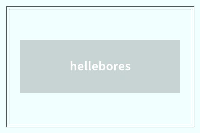 hellebores