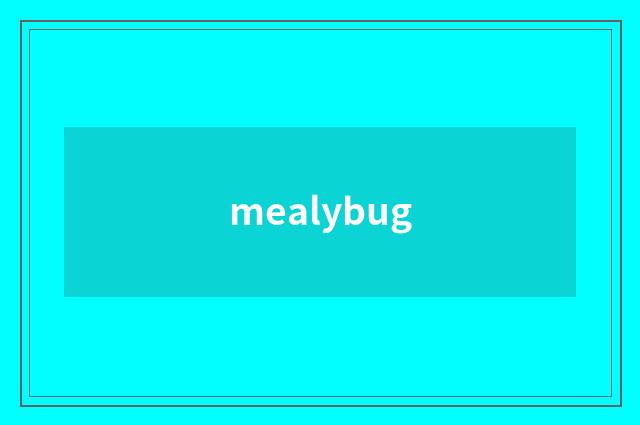 mealybug