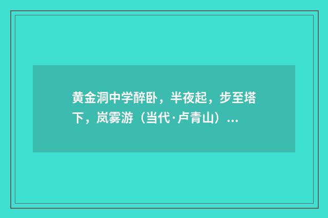 黄金洞中学醉卧，半夜起，步至塔下，岚雾游（当代·卢青山）释义及解释