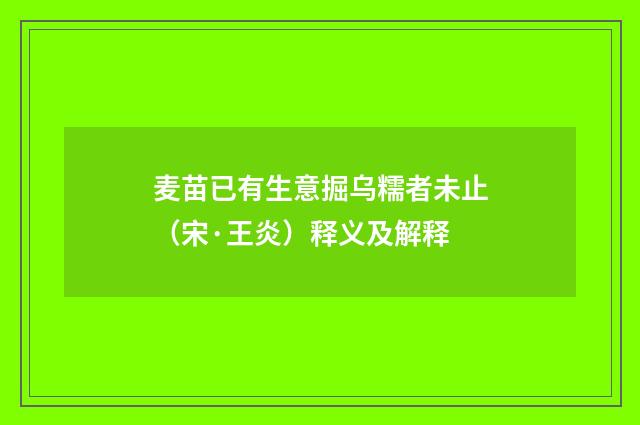 麦苗已有生意掘乌糯者未止（宋·王炎）释义及解释