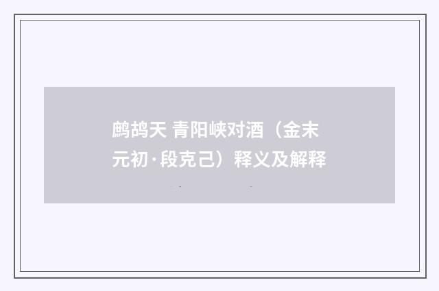 鹧鸪天 青阳峡对酒（金末元初·段克己）释义及解释
