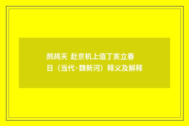 鹧鸪天 赴京机上值丁亥立春日（当代·魏新河）释义及解释