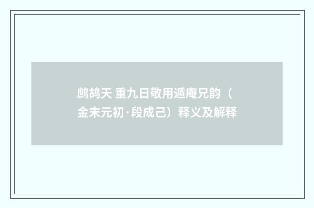 鹧鸪天 重九日敬用遁庵兄韵（金末元初·段成己）释义及解释