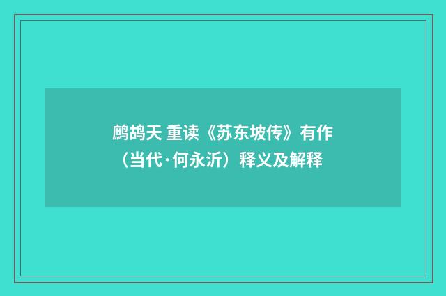 鹧鸪天 重读《苏东坡传》有作（当代·何永沂）释义及解释