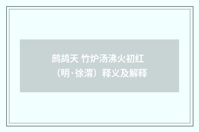 鹧鸪天 竹炉汤沸火初红（明·徐渭）释义及解释