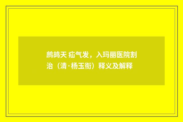 鹧鸪天 疝气发，入玛丽医院割治（清·杨玉衔）释义及解释
