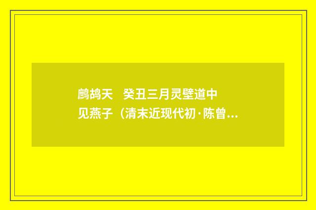 鹧鸪天 癸丑三月灵壁道中见燕子（清末近现代初·陈曾寿）释义及解释