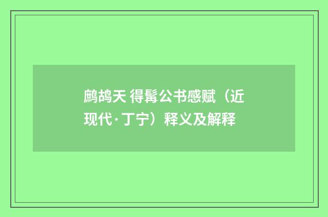 鹧鸪天 得髯公书感赋（近现代·丁宁）释义及解释