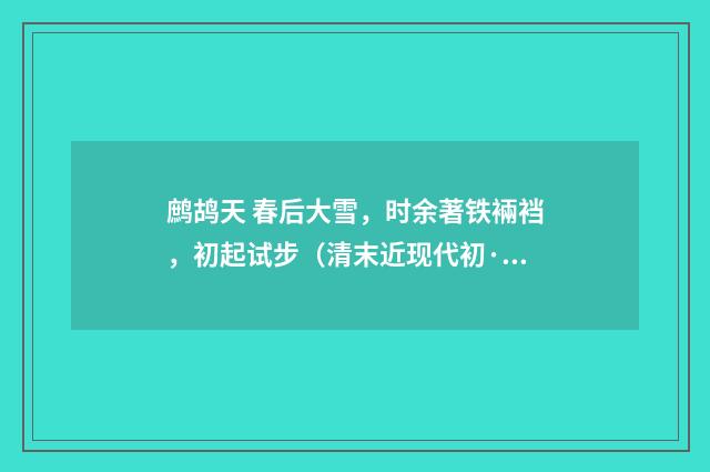 鹧鸪天 春后大雪，时余著铁裲裆，初起试步（清末近现代初·汪东）释义及解释