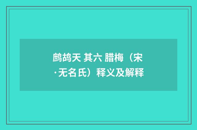 鹧鸪天 其六 腊梅（宋·无名氏）释义及解释