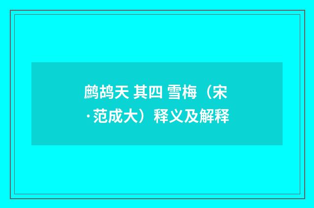 鹧鸪天 其四 雪梅（宋·范成大）释义及解释