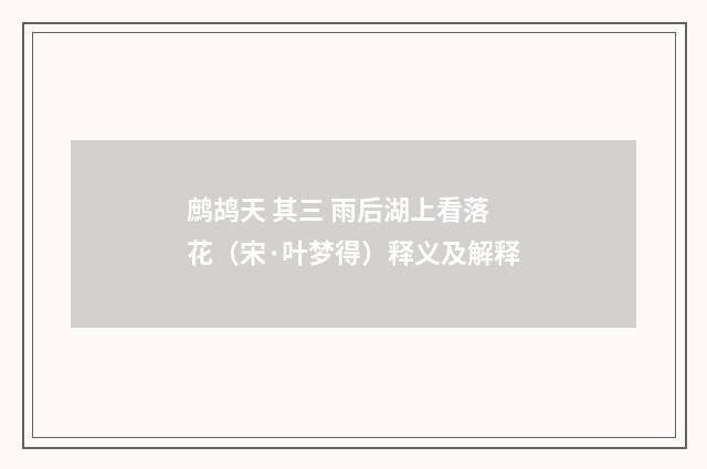 鹧鸪天 其三 雨后湖上看落花（宋·叶梦得）释义及解释