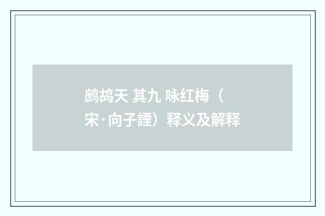 鹧鸪天 其九 咏红梅（宋·向子諲）释义及解释