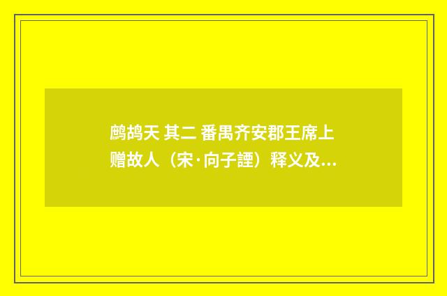 鹧鸪天 其二 番禺齐安郡王席上赠故人（宋·向子諲）释义及解释
