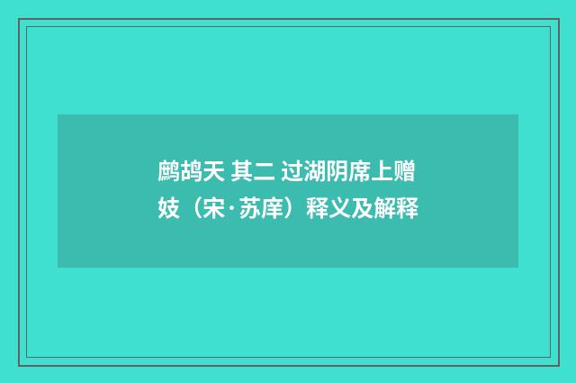 鹧鸪天 其二 过湖阴席上赠妓（宋·苏庠）释义及解释