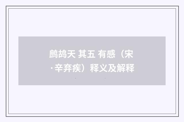 鹧鸪天 其五 有感（宋·辛弃疾）释义及解释
