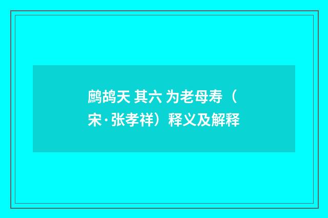 鹧鸪天 其六 为老母寿（宋·张孝祥）释义及解释