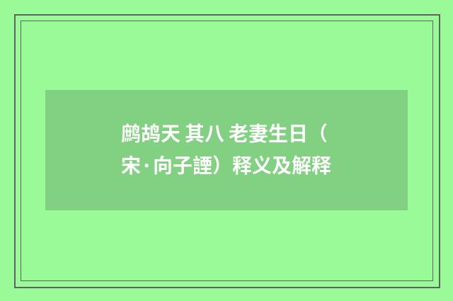 鹧鸪天 其八 老妻生日（宋·向子諲）释义及解释