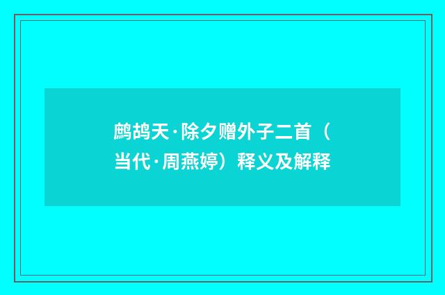 鹧鸪天·除夕赠外子二首（当代·周燕婷）释义及解释
