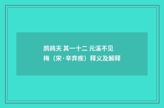 鹧鸪天 其一十二 元溪不见梅（宋·辛弃疾）释义及解释