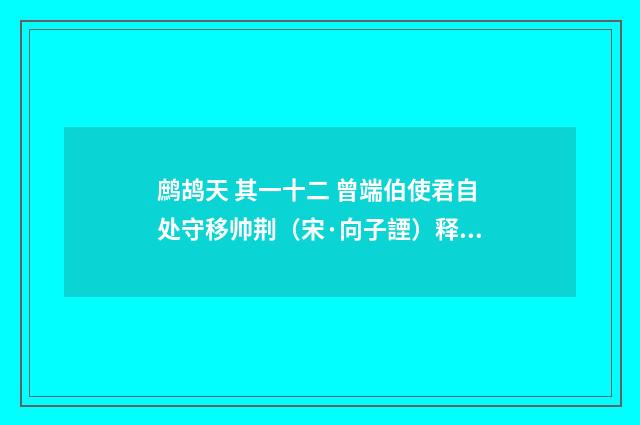 鹧鸪天 其一十二 曾端伯使君自处守移帅荆（宋·向子諲）释义及解释