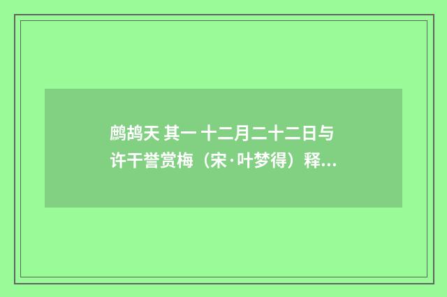 鹧鸪天 其一 十二月二十二日与许干誉赏梅（宋·叶梦得）释义及解释
