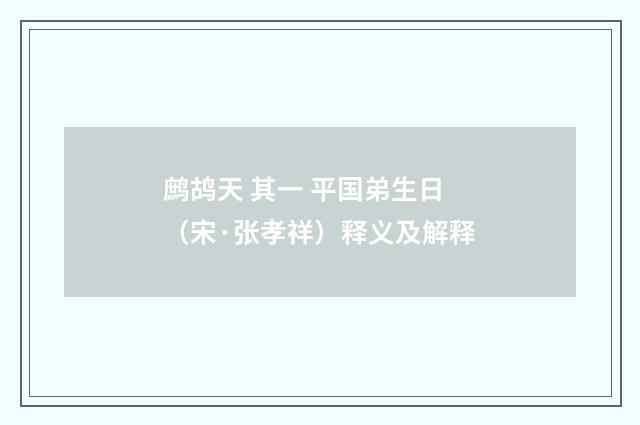 鹧鸪天 其一 平国弟生日（宋·张孝祥）释义及解释