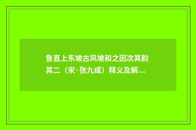 鲁直上东坡古风坡和之因次其韵 其二（宋·张九成）释义及解释
