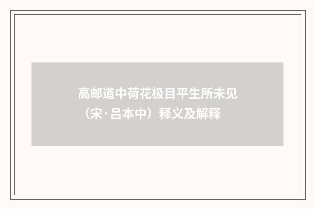 高邮道中荷花极目平生所未见（宋·吕本中）释义及解释